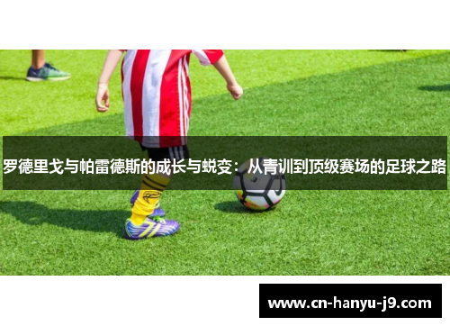 罗德里戈与帕雷德斯的成长与蜕变：从青训到顶级赛场的足球之路